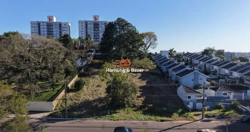 Terreno à venda em novo hamburgo, rondônia - ótima oportunidade!