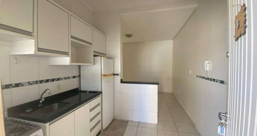 Apartamento com 1 dormitório para alugar na Vila Operária