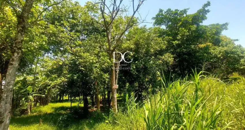 Terreno comercial à venda na Rodovia Ernani do Amaral Peixoto, Vale da Figueira (Ponta Negra), Maricá