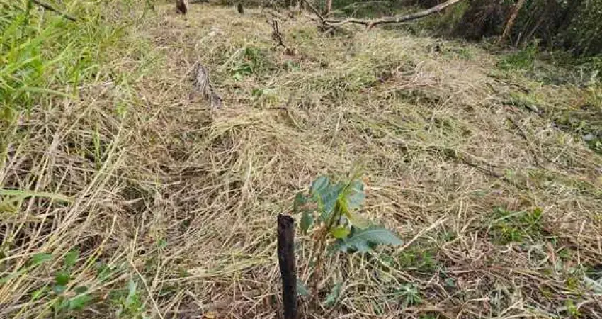 Terreno à venda na Rua Trinta e Dois, Cajueiros (Itaipuaçu), Maricá