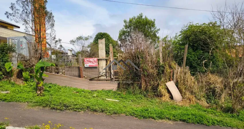 R$ 135 mil - terreno de frente para o asfalto, 12 x 30, planta deodoro, piraquara/pr.