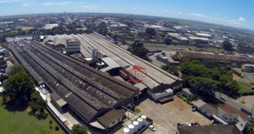 Galpão Industrial para locação, Vila San Martin (Nova Veneza), Sumaré - SP