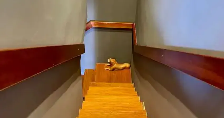 Terreno em condomínio fechado à venda na Rua Tuim, 536, Moema, São Paulo