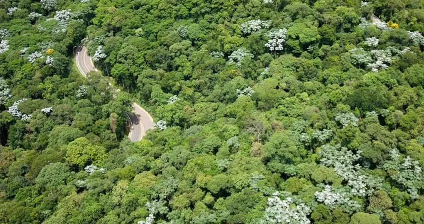 Terreno, lote a venda em Genesis 2.Já dá pra ir imaginando sua nova linda casa, com terreno aclive e em rua silenciosa