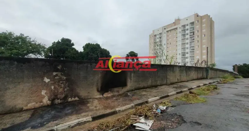 Terreno 2.800 m2 na Vila Nova Bonsucesso, totalmente limpo, pronto para ser edificado.