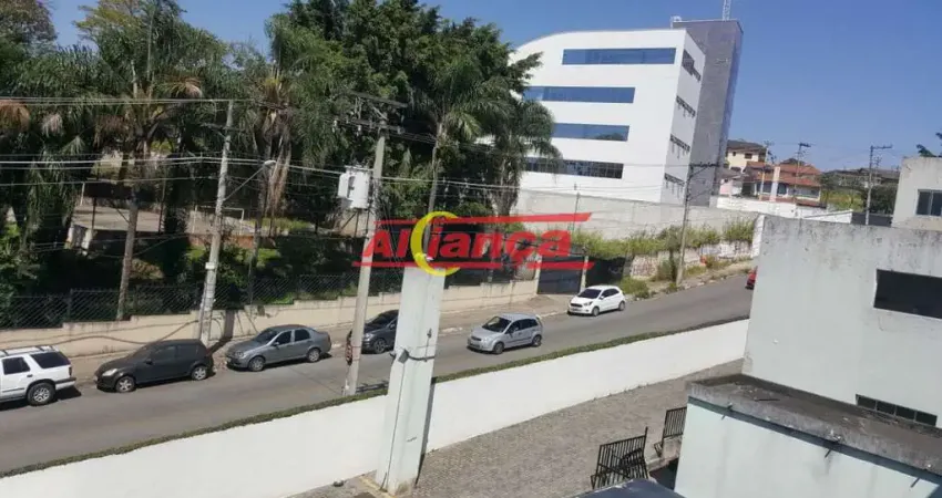 Apartamento com 2 quartos à venda na Rua Maria Zintl, 131, Cocaia, Guarulhos