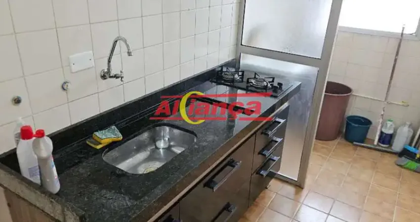 Apartamento com 2 dormitórios à venda, 56 m² - cocaia ? guarulhos/sp