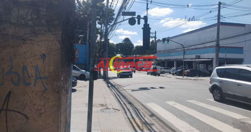 Área 3.423 Metros Comercial na AV. Otavio Braga de Mesquita