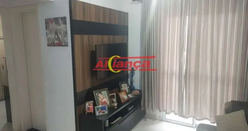 Apartamento com 2 dormitórios sendo 1 suite à venda, 58,64m² - ponte grande - guarulhos.gru/sp.
