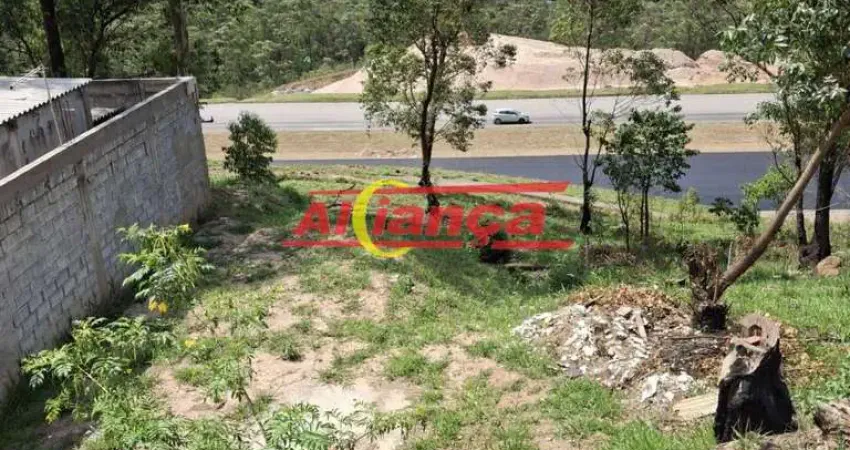 Terreno à venda na Rua dos Eucaliptos, Jardim Santa Edwirges, Guarulhos