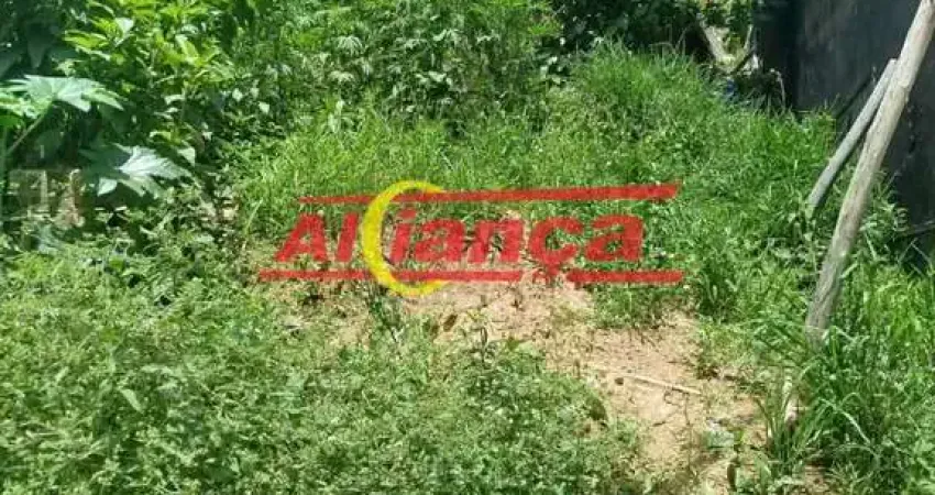 Terreno à venda na Avenida Salgado Filho, 3816, Centro, Guarulhos