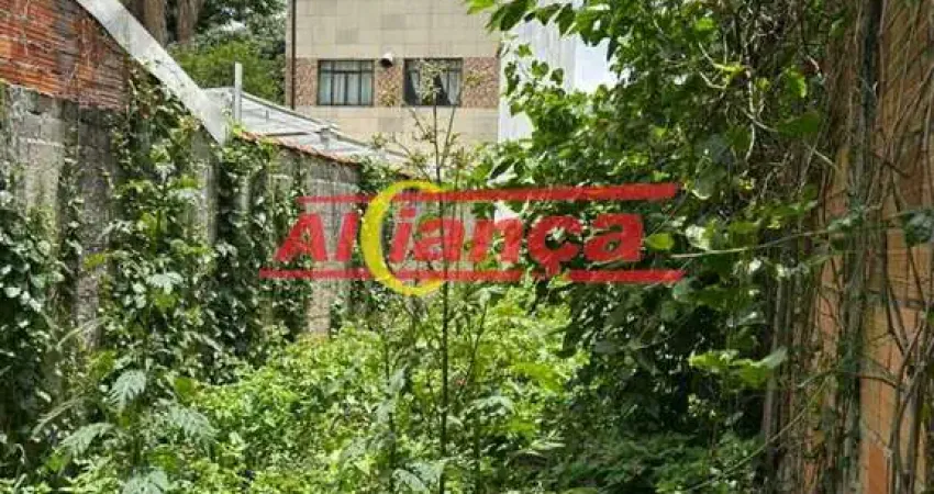 Terreno à venda na Rua João de Faria, 764, Parque São Miguel, Guarulhos