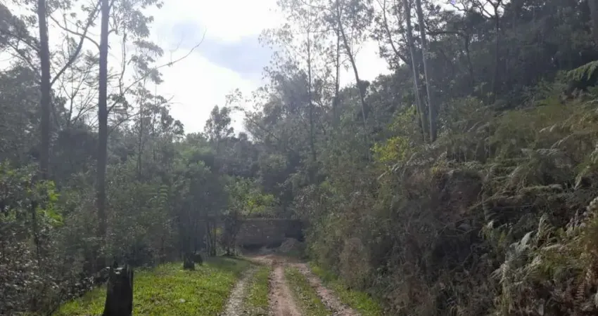 Das Proximidades e Acessos: - Rod. Hélio Smidt - 6.000 metros - Capelinha Guarulhos