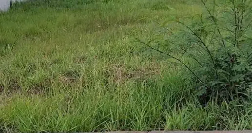 Terreno à venda, 366 m² por R$ 390.000,00 - Spazio Verde Comendador - Bauru/SP
