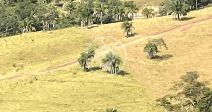 Bairro: Zona Rural Valor: R$ 4.000.000,00 codigo: 46024