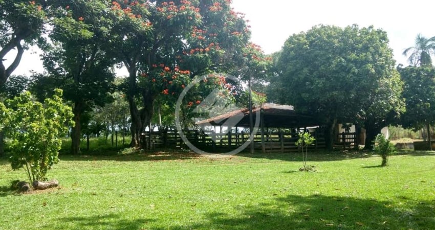 FAZENDA - 7,8 ALQUEIRES  A 300 METROS DA BR 153 codigo: 88147