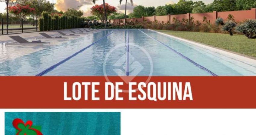Terreno à venda na Rua José Alves da Costa, 00, Jardins Miami, Aparecida de Goiânia