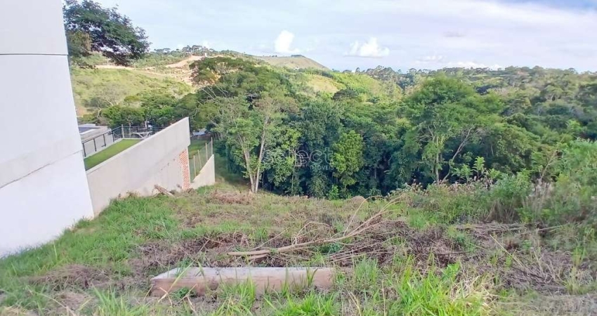 Lote / Terreno - Salvaterra