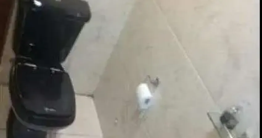 Sobrado 4 dormitórios à venda Guaianazes São Paulo/SP