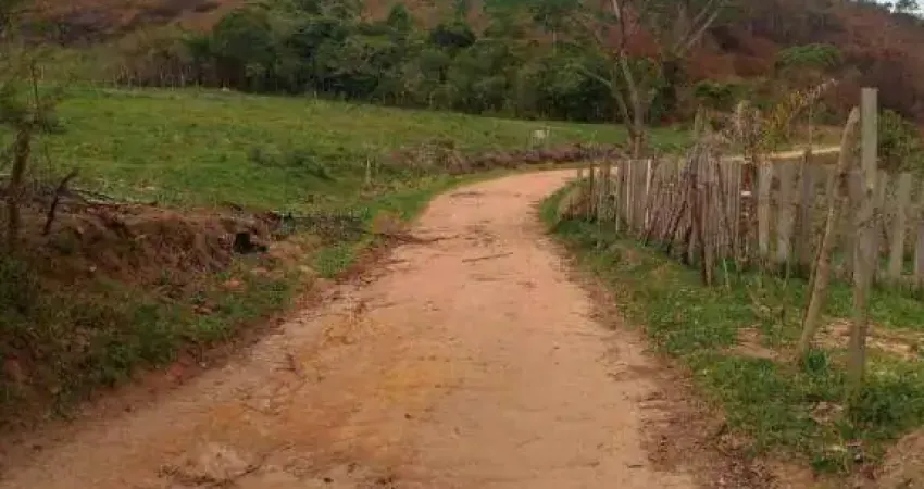Terreno à venda, 488 m² por R$ 35.000 - Pirapetinga - Juiz de Fora/MG