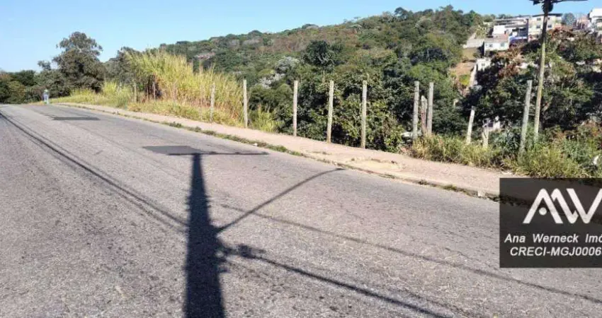 Terreno à venda, 250 m² por R$ 40.000,00 - Parque Independência - Juiz de Fora/MG
