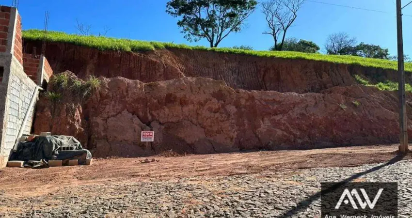 Terreno à venda, 240 m² por R$ 99.000 - Mangueiras - Rio Novo/MG