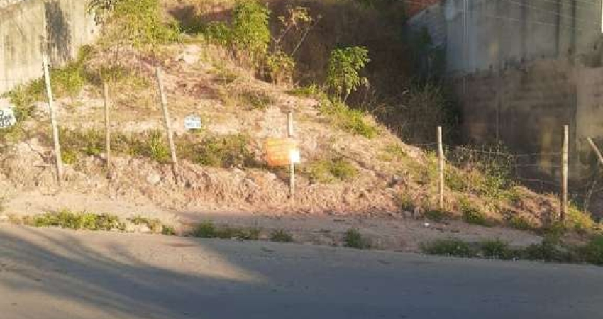 Terreno à venda, 590 m² por R$ 160.000,00 - Nova Benfica - Juiz de Fora/MG