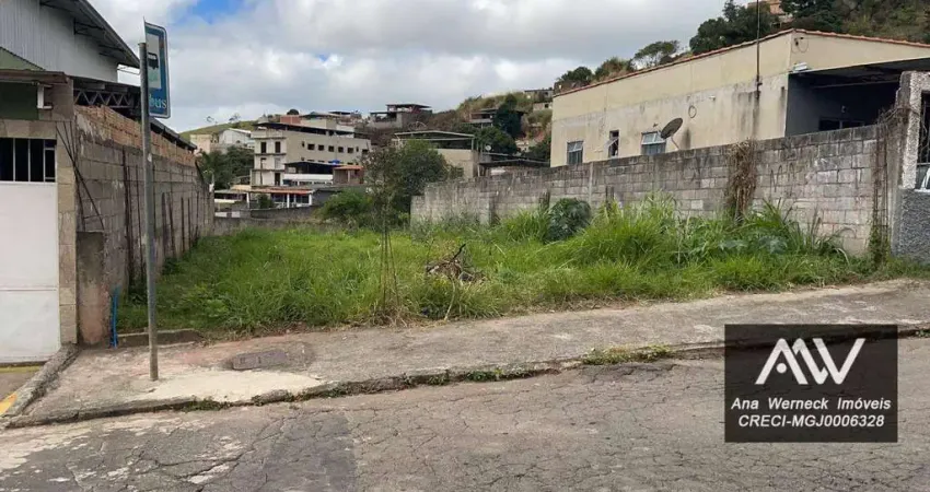 Terreno à venda, 300 m² por R$ 220.000 - Nova Benfica - Juiz de Fora/MG