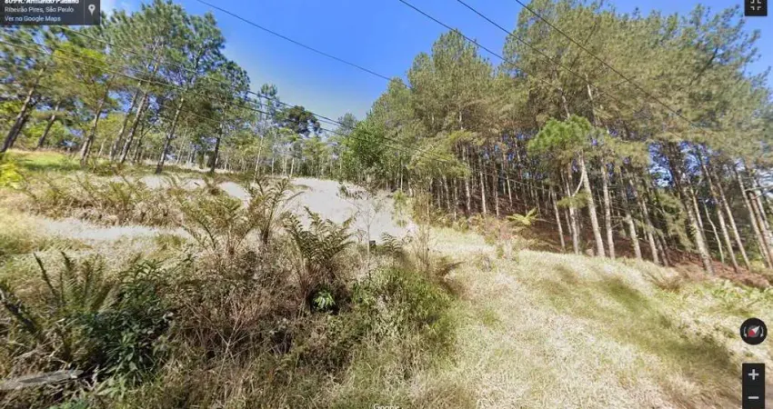 Área para Venda em Ribeirão Pires, Ouro Fino Paulista