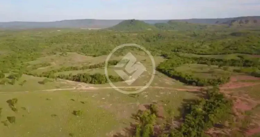 Fazenda à venda na zona Rural da cidade de Caiaponia-GO. codigo: 63960
