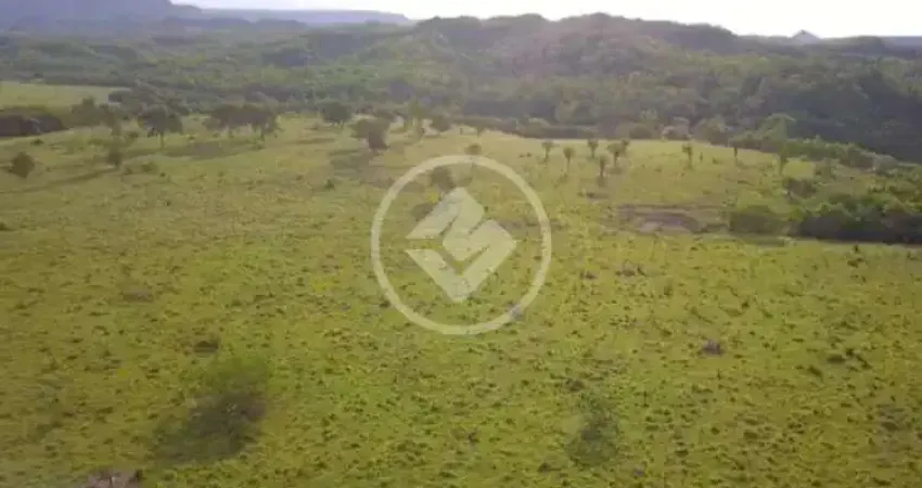 Fazenda na Zona Rural da cidade de Caiaponia-GO. codigo: 63929