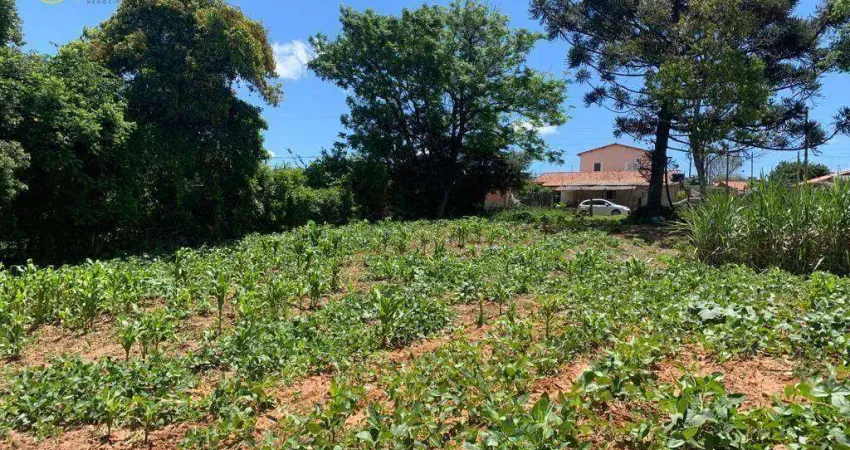 Terreno à venda, 9.271 m² por R$ 800.000 - Cristovão - Araçoiaba da Serra/SP
