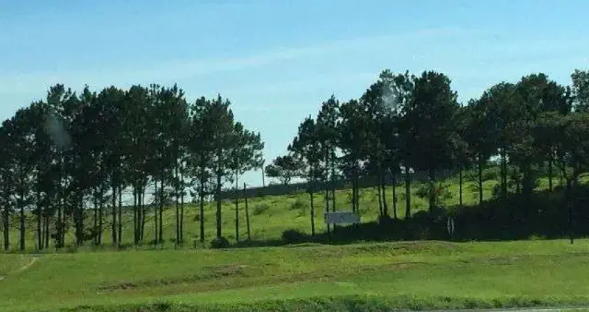 Terreno, 10900 m² - venda por R$ 3.900.000,00 ou aluguel por R$ 10.000,00/mês - Vila Artura - Sorocaba/SP