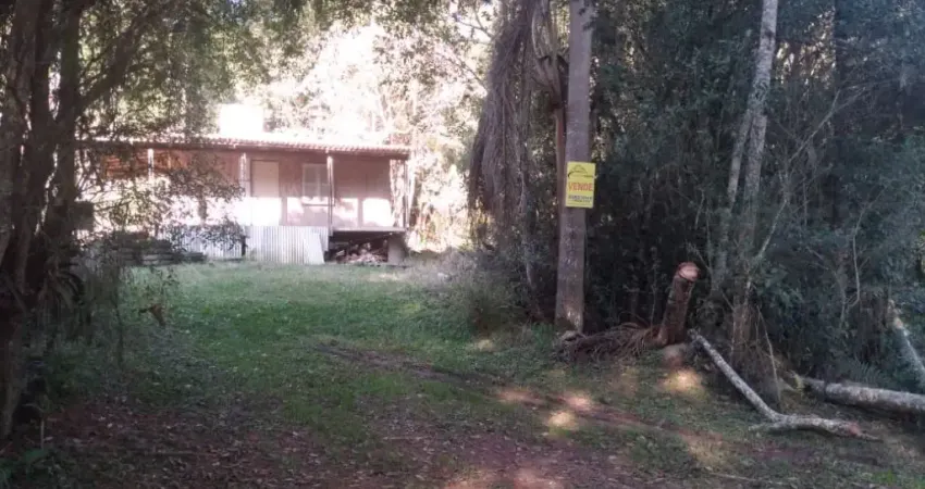 Chácara / sítio à venda na Estrada das Camelas, Colônia Murici, São José dos Pinhais