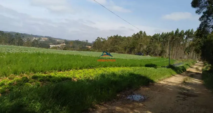 Terreno à venda na RUA BENEDITO MESSIAS DOS SANTOS NETO, 100, da Capelinha, Cotia