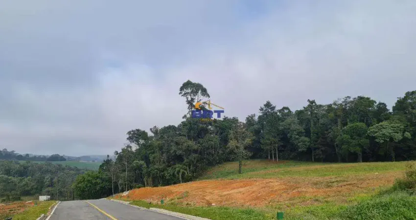 Terreno à venda em Campo Largo, Vila Conceição, com 1128.66 m²