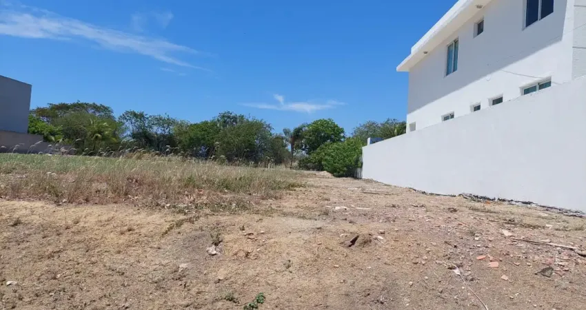 Lote com uma vista deslumbrante, para praia do gunga e barra de sao miguele