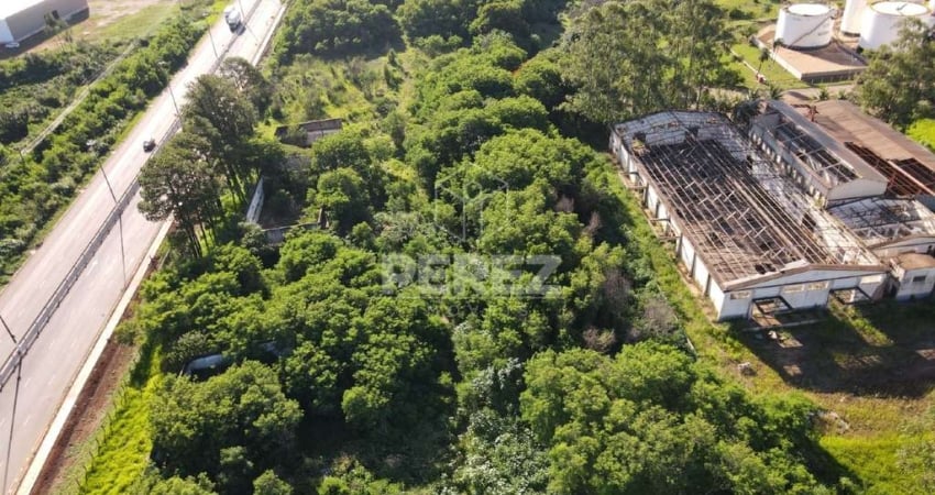 Área Para Investimento Comercial