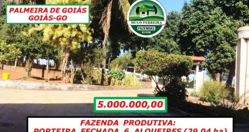 FAZENDA EM PALMEIRAS DE GOIÁS/GO - 1KM E MEIO DE FRENTE PRA BR/GO