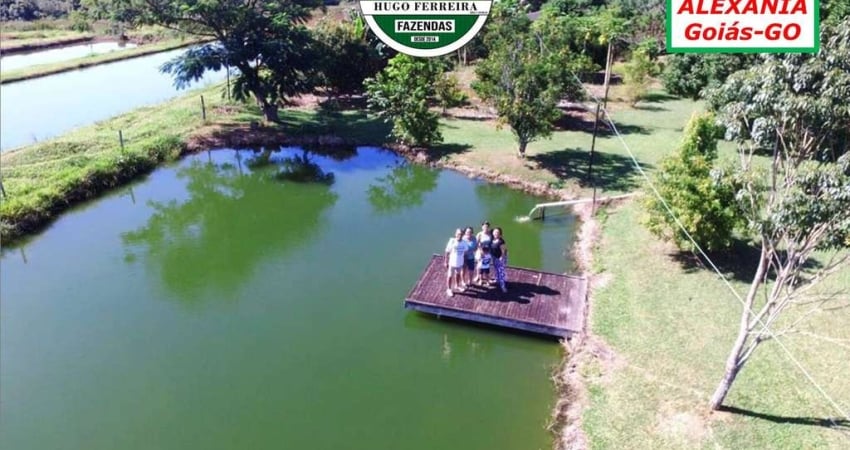 FAZENDA TOP EM ALEXÂNIA/GO- DUPLA APTIDÃO E ABUNDÂNCIA DE ÁGUA-3 NASCENTES