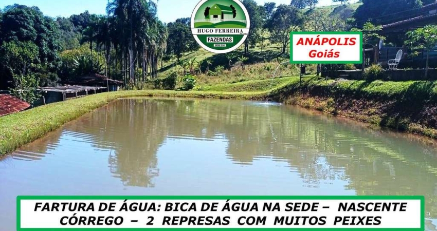 CHÁCARA EM ANÁPOLIS/GO - FARTURA DE ÁGUA-ESTUDA PROPOSTA DE NEGOCIAÇÃO