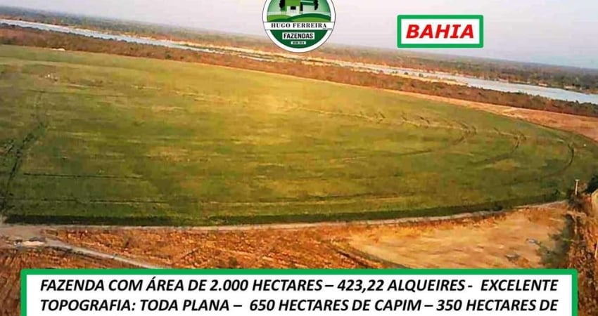 FAZENDA TOP NA BAHIA-PLANA E ÀS MARGENS DA BR 242 - ÓTIMO INVESTIMENTO