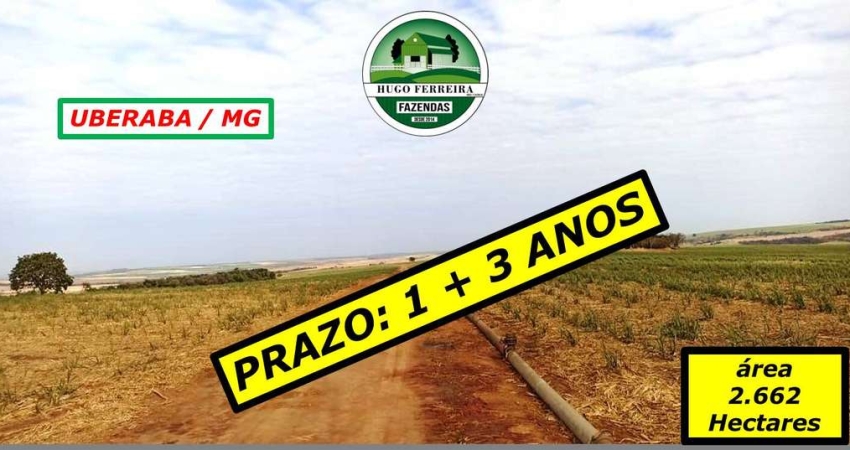 FAZENDA EM UBERABA/MG - LOCALIZADA A 30KM DE UBERLÂNDIA E A 6KM DA BR 050