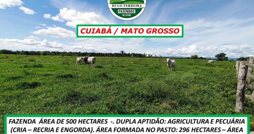 FAZENDA PERTINHO DE CUIABÁ/MT SÓ 20KM-DUPLA APTIDÃO-BOA INFRAESTRUTURA
