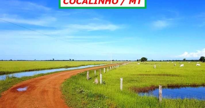 MEGA FAZENDA UM INVESTIMENTO PROPORCIONAL AO PRODUTO EXCELENTE ESTRUTURA
