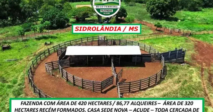 FAZENDA EM SIDROLÂNDIA/MS- APTIDÃO PECUÁRIA-130KM DE CAMPO GRANDE/MS