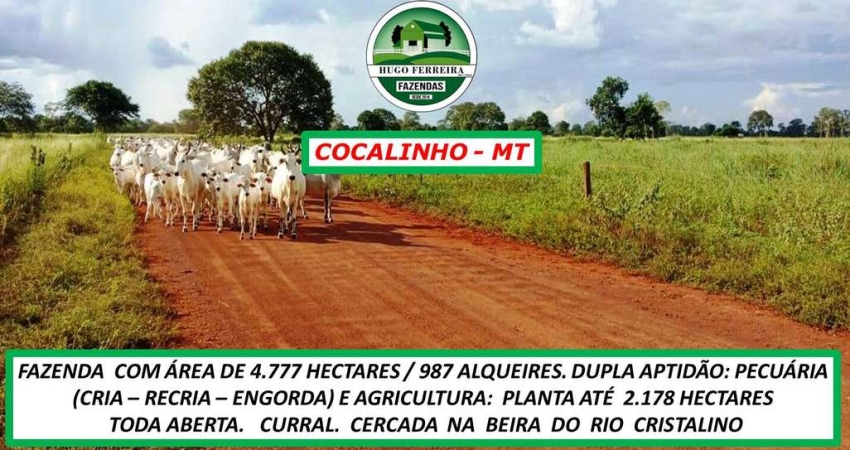 FAZENDA REGIÃO DE SOJA PORTEIRA FECHADA TODA CERCADA
