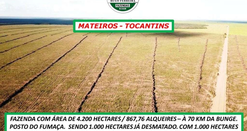 FAZENDA EM MATEIROS/TO- APTIDÃO AGRICULTURA - ESTRUTURADA-DOCUMENTOS EM DIA