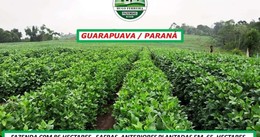 FAZENDA EM  GUARAPUAVA/PR - PRODUÇÃO ACIMA DA MEDIA- BOA ESTRUTURA