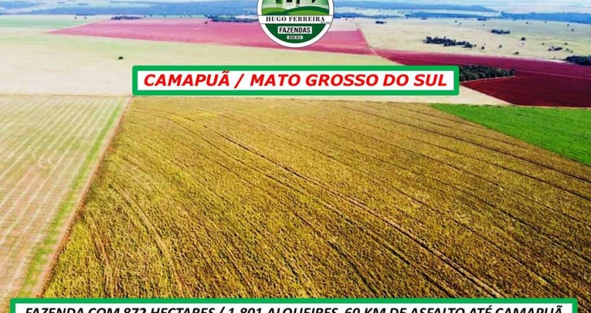 FAZENDA EM CAMAPUÃ/MS-DUPLA APTIDÃO-TOPOGRAFIA PLANA
